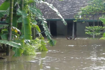 வளவை ஆற்றின் நீர் மட்டம் அதிகரித்ததால் வெள்ளத்தில் மூழ்கிய கட்டிடங்கள்