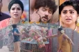 Varisu: உயிருக்கு ஆபத்தான நிலையில் சிபி... அதிர்ச்சியில் தமிழ் - ஜனா! வாரிசு சீரியல் அப்டேட்