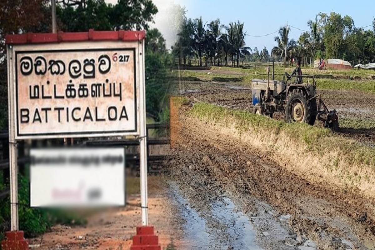 மட்டக்களப்பு விவசாயிகளுக்கான உரத் தட்டுபாடு : ஜனாதிபதியை நடவடிக்கை எடுக்குமாறு கோரிக்கை | Fertilizer Shortage For Batticaloa Farmers மட்டக்களப்பு விவசாயிகளுக்கான உரத் தட்டுபாடு : ஜனாதிபதியை நடவடிக்கை எடுக்குமாறு கோரிக்கை | Fertilizer Shortage For Batticaloa Farmers