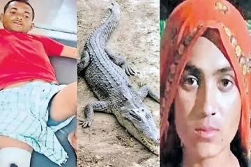 கணவனின் உயிரை காப்பாற்ற முதலையுடன் போராடிய பெண்ணின் தீரச் செயல்!