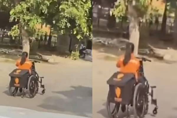 வீல் சேரில் உணவு டெலிவரி செய்யும் மாற்றுத்திறனாளி பெண் : வைரலாகும் வீடியோ | Swiggy Delivery Agent Rides Wheelchair
