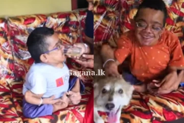 "මගෙ අස්ථි බිත්තර කටුවක් තරම්වත් ශක්තිමත් නෑ.යන්තම් ටිකක් හයියෙන් ඇල්ලුවොත් බිඳෙනවා.ආයේ ඒක සවි වෙන්නෙත් විකෘති වෙලා.." - ජිවිතය ජයගත්ත Software Engineer අශාන්ගේ කතාව. (VIDEO)