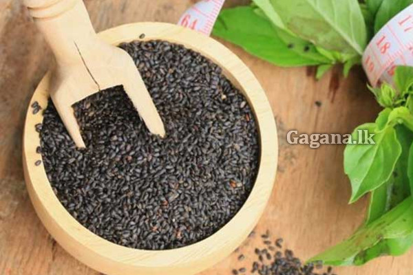 කසකසා ඇට ගැන ඔබ මේ දේවල් දැන සිටියාද? | Did You Know These Things About Pumpkin Seeds