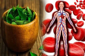 வெறும் வயிற்றில் கறிவேப்பிலை சாப்பிட்டால் இவ்வளவு நன்மைகளா? இனிமேல் மிஸ் பண்ணாதீங்க