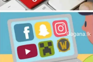 මාර්ගගත පනත ගැන ලංකාවට ජාත්‍යන්තරයෙන් බලපෑමක්..