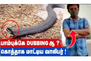 வினோத சத்தம் எழுப்பிய பாம்பு! விவகாரமாக மாட்டிய இளைஞன்