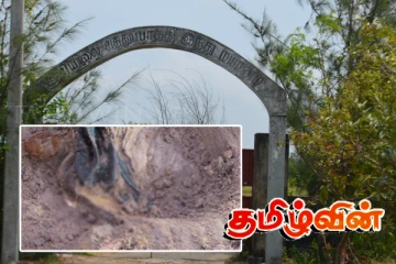 செம்மணி மனிதப் புதைகுழியில் இன்றுவரை அடையாளம் காணப்பட்டுள்ள மனித எச்சங்கள்