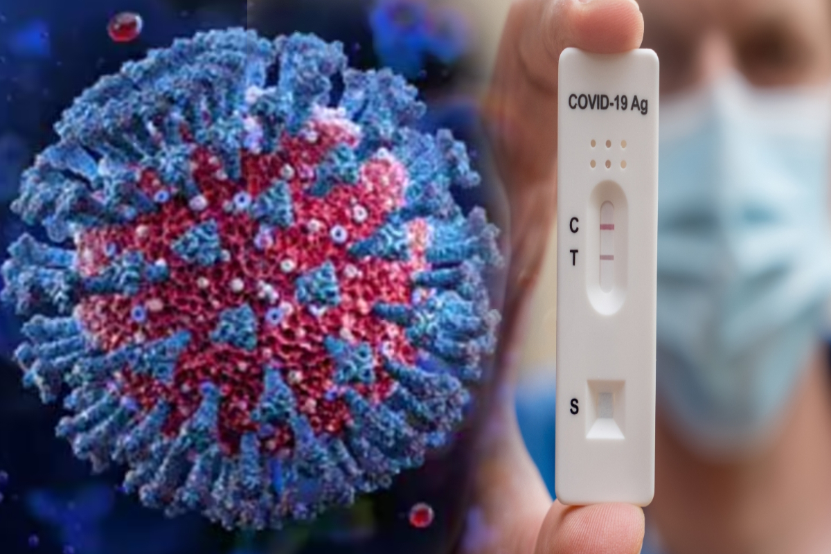 மீண்டும் உலகை அச்சுறுத்தும் உருமாறிய Cicada கொரோனா! 23க்கும் மேற்பட்ட நாடுகளில் பரவல் | A Newly Identified Covid 19 Variant Cicada