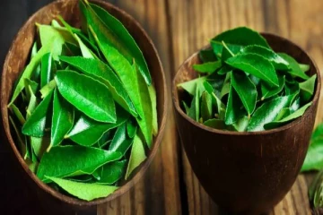 நாள்பட்ட நோய்களுக்கு மருந்தாகும் கறிவேப்பிலை- வெறும் வயிற்றில் சாப்பிடுங்க