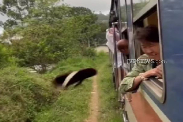 இலங்கையில் வெளிநாட்டு பெண் சுற்றுலா பயணிக்கு நேர்ந்த அவல நிலை! | Man Hit Sandal Foreign Tourist Came To Sri Lanka