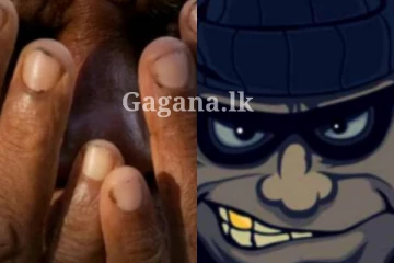 "මම සුදු පුතා" කියලා ගෙදරටම ඇවිත් වයෝවෘද්ධ කතකට කළ කැත වැඩේ..