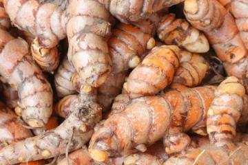 මෙරට කහ අස්වනු වලට සිදු වූ අපරාධය.