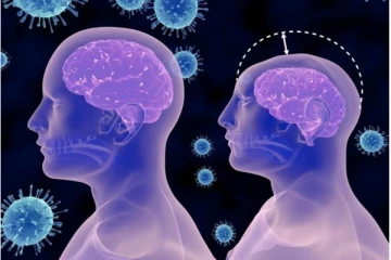 இந்தியாவில் பரவும் மூளையில் பாதிப்பை ஏற்படுத்தும் ஆபத்தான  Zika வைரஸ்