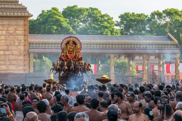 ஏழு குதிரைகள் பூட்டிய ரதத்தில் சூர்யோற்சவம் ; பக்தர்களுக்கு காட்சி தந்த நல்லூர் கந்தன் | Nallur Kandaswamy Temple Soorasamharam
