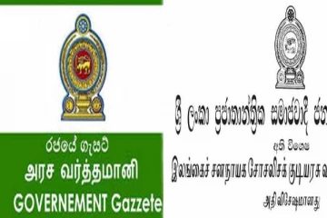 இறக்குமதி தொடர்பில் வர்த்தமானி வெளியீடு; நிதி அமைச்சு!