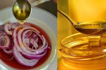 தேனில் ஊறவைத்த சின்ன வெங்காயத்தை வெறும் வயிற்றில் சாப்பிட்டால் கிடைக்கும் நன்மைகள் என்ன தெரியுமா?