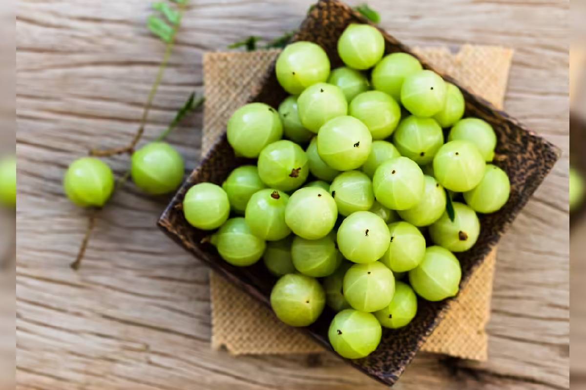 தினமும் ஆவியில் வேக வைத்த 1 நெல்லிக்காயை சாப்பிடுவதால் என்னென்ன நன்மைகள் கிடைக்கும் தெரியுமா? | Vega Vaithta Nellikai Sapituvathal Kitaikum Nanmai