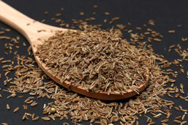 உடலில் தொப்பையை குறைக்கும் மூலிகை | Herb That Reduces Belly Fat In The Body