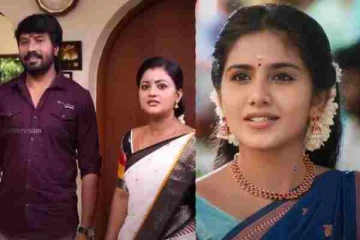 விட்ட இடத்தை பிடிக்கும் சிங்கப்பெண்ணே, கீழே இறங்கும் சிறகடிக்க ஆசை... தொடர்களின் டிஆர்பி விவரம்