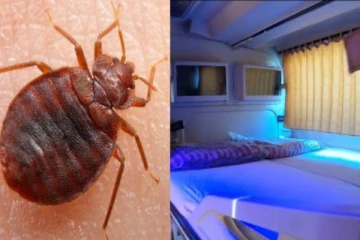 பஸ் ஸ்லீப்பரில் மூட்டை பூச்சியால் நடந்த சம்பவம் - தம்பதிக்கு ரூ.1.29 லட்சம் வழங்க நீதிமன்றம் உத்தரவு