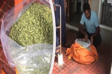 இலங்கைக்கு கடத்த இருந்த பெருந்தொகை ஏலக்காய் மீட்பு