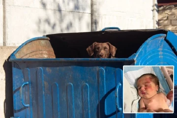 குப்பைத் தொட்டியில் கிடந்த 4 மாத பெண் குழந்தை: தெரு நாய் தூக்கிக் கொண்டு சுற்றிய அவலம்