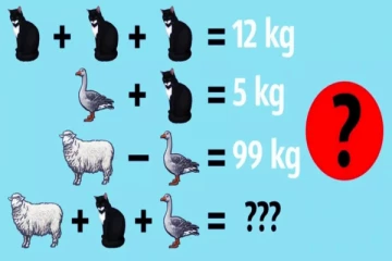Brain Teaser Maths: இந்த மிருகங்களின் எடையை கண்டுபிடித்து புதிரை தீர்க்க முடியுமா?