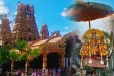 யாழ். நல்லை கந்தன் ஆலய திருவாதிரை உற்சவம் (Photos)