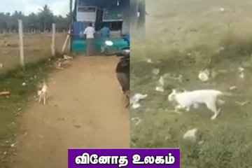 வைன் ஷாப் முன்னால் தள்ளாடிய பூனை! பூனைக்கும் ஊற்றிக் கொடுத்த குடிமகன்.. வினோத உலகம்