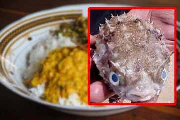 மட்டக்களப்பில் மீனை உட்கொண்ட இளம் தாய் உயிரிழப்பு: மூவர் வைத்தியசாலையில் (Video)