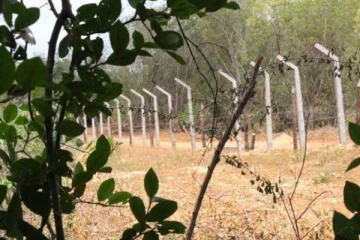 யாழில் காணி விடுவிப்பு தொடர்பில் உயர்மட்ட கலந்துரையாடல்