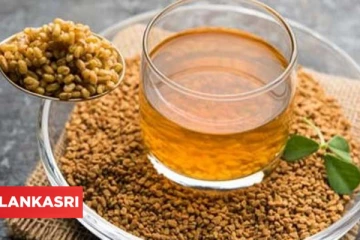 காலையில் வெறும் வயிற்றில் வெந்தயம் ஊற வைத்த நீரை குடிச்சு பாருங்க.! பெறும் நன்மைகள் ஏராளம்