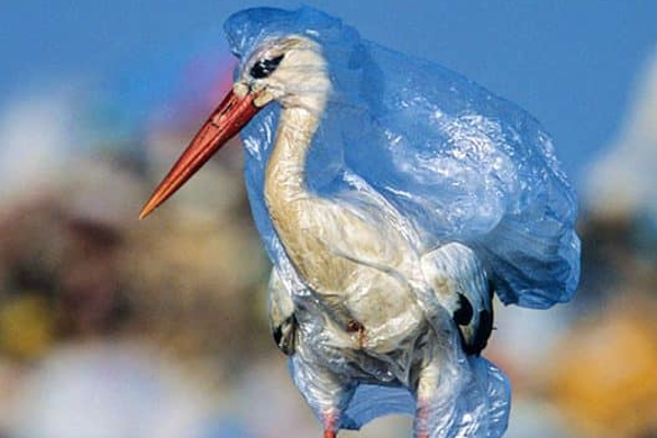 கதிர்காமம் கந்தன் ஆலயத்திற்கு பாதயாத்திரை செல்லும் அடியார்களுக்கு | For Servants Going On A Padayatra To Kathirgamam