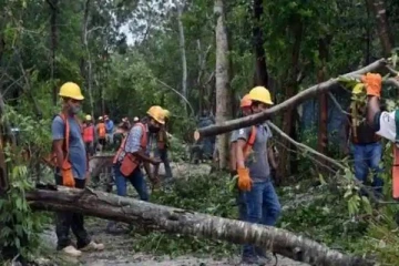 மெக்சிகோவைப் புரட்டி போட்ட கிரேஸ் புயல்...8 பேர் உயிரிழப்பு