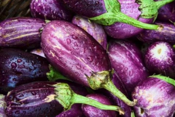 கத்தரிக்காய் நல்லது தான்... ஆனால் இவர்கள் மட்டும் சாப்பிடக்கூடாது! ஏன் தெரியுமா?