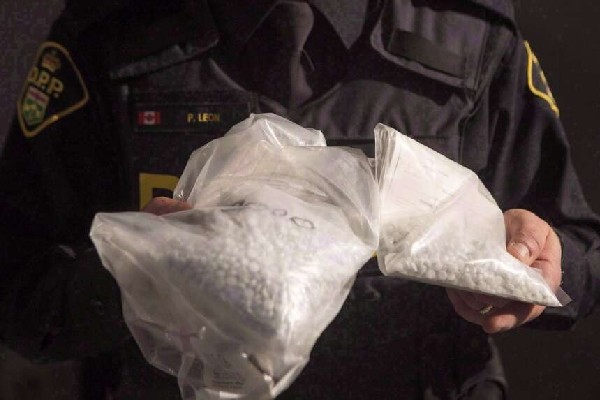 நயகராவில் பாரியளவு போதை மாத்திரைகள் மீட்பு | 20K In Fentanyl Seized From Toronto