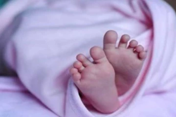 குரங்கை விரட்டிய தந்தை! பரிதாபமாக பலியான 2 மாத குழந்தை: நடந்தது என்ன?