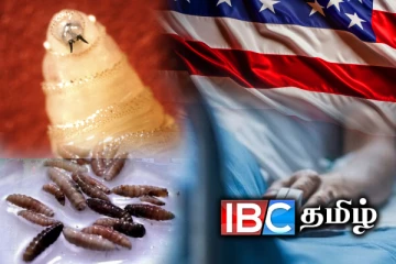 மனித தசையின் திசுக்களை உண்ணும் புழு - அமெரிக்காவில் உறுதி