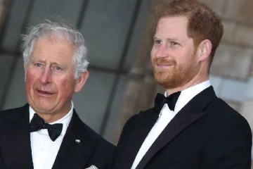 சார்லஸ் - வில்லியம் இருவரின் பின்னணி அலசினால்... குடும்பம் என்னை மன்னிக்காது: ஹரி வெளிப்படை