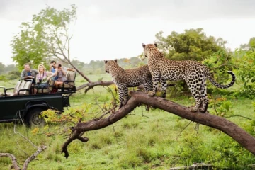 யால தேசிய பூங்காவுக்கு பூட்டு