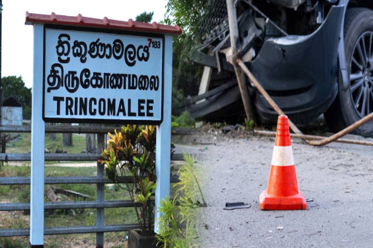 திருகோணமலையில் அதிகாலை வேளையில் நடந்த கார் விபத்து: உயிர்தப்பிய சாரதி | Car Accident In Trincomalee