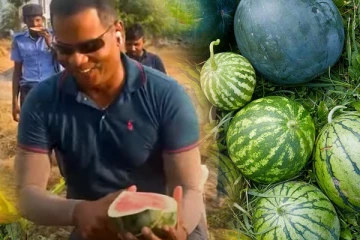 கொழுத்தும் வெய்யிலில் Reecha இல் குழுகுழு தர்பூசணி!(Video)