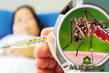 அதிகரிக்கும் டெங்கு நோயாளர்கள் : பொது மக்களுக்கு விடுக்கப்பட்டுள்ள எச்சரிக்கை