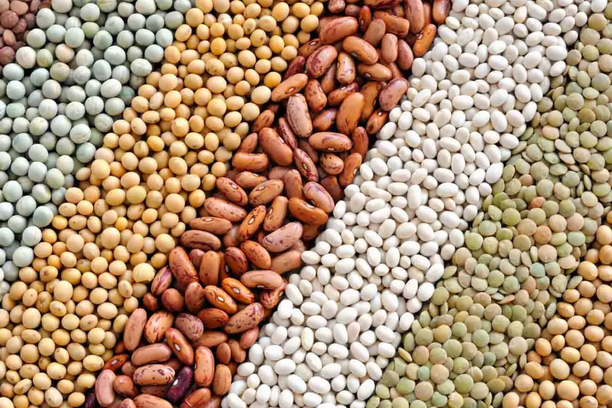 வாரம் ஒரு முறை பச்சை பயிறு சாப்பிடுவதால் கிடைக்கும் நன்மைகள் பற்றி தெரியுமா? | Benefits Of Eating Green Gram Daily