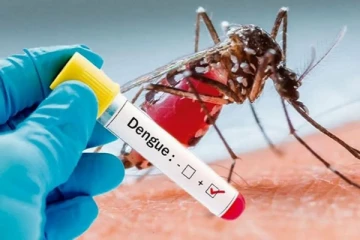 யாழில் டெங்கு காய்ச்சல் : சிறுவனின் உயிர் பறிபோனது!
