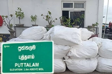 புத்தளத்தில் பெருமளவான பீடி இலை பொதிகள் மீட்பு