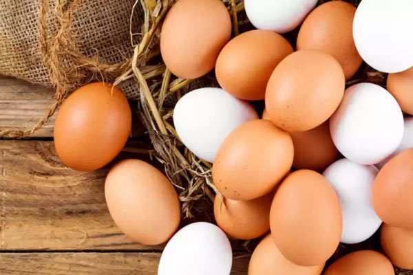 முட்டை இறக்குமதி தொடர்பான அறிவிப்பு | Egg Price In Sri Lanka