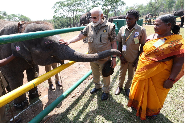 modi-has-become-a-wildlife-photographer modi-has-become-a-wildlife-photographer