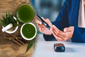 நீரிழிவு நோயாளிகளுக்கு பழங்கள் மட்டுமல்ல இலைகளும் காப்பாற்றும்... எப்படித் தெரியுமா?