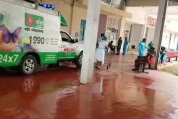 வவுனியாவில் குளவி கொட்டுக்கு இலக்காகி 5 பேர் வைத்தியசாலையில் அனுமதி(VIDEO)